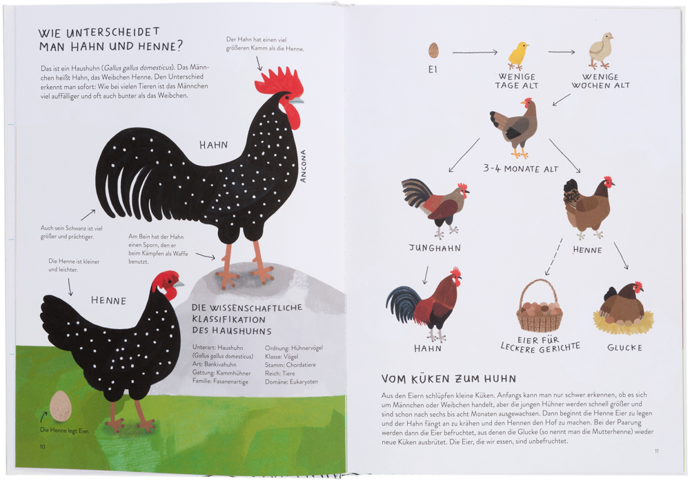 Ich Wollt Ich Wär Ein Huhn Wiki Ich wollt', ich wär' ein Huhn - Pack Shots | Gestalten