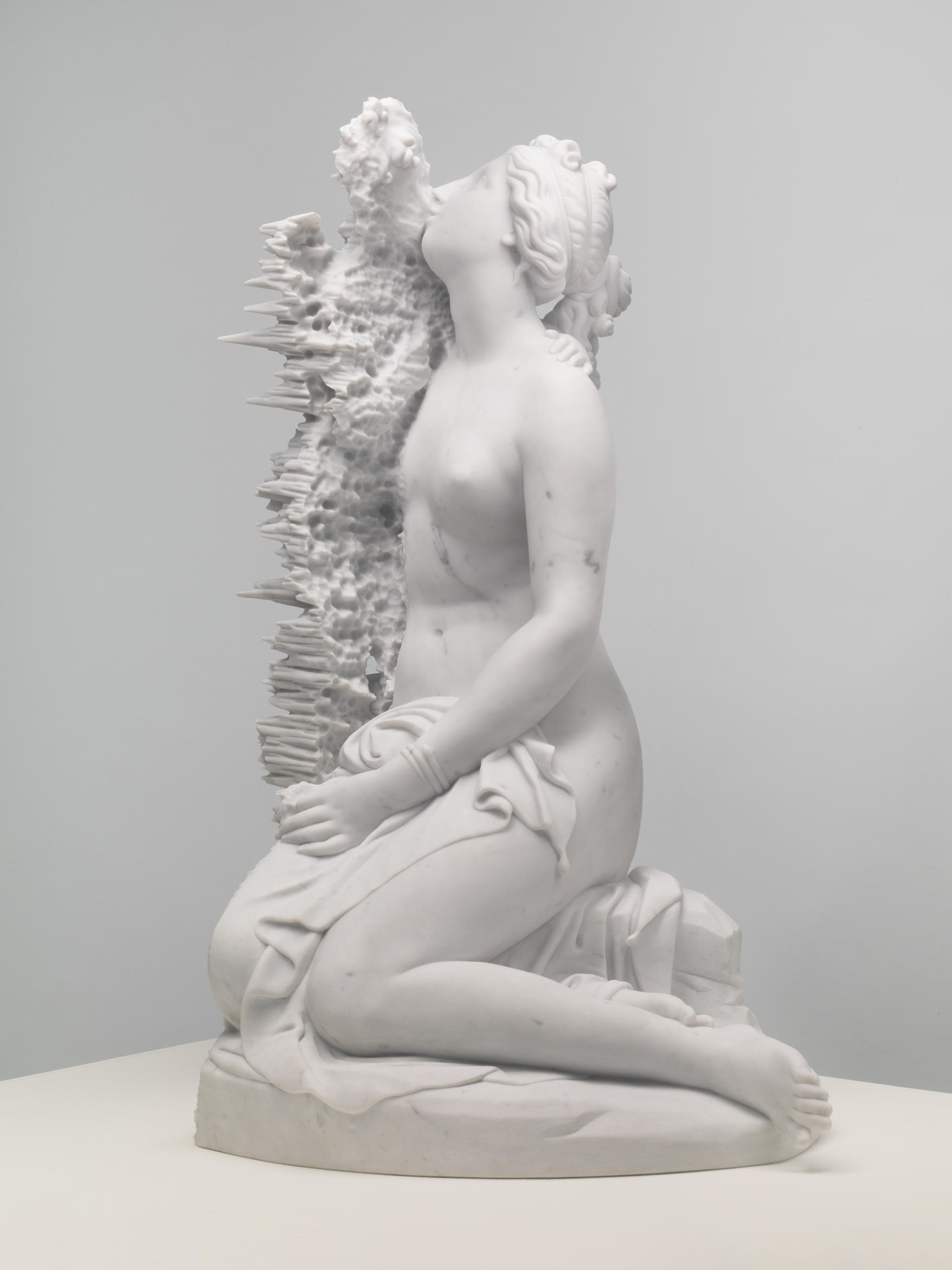 Venus Celestis