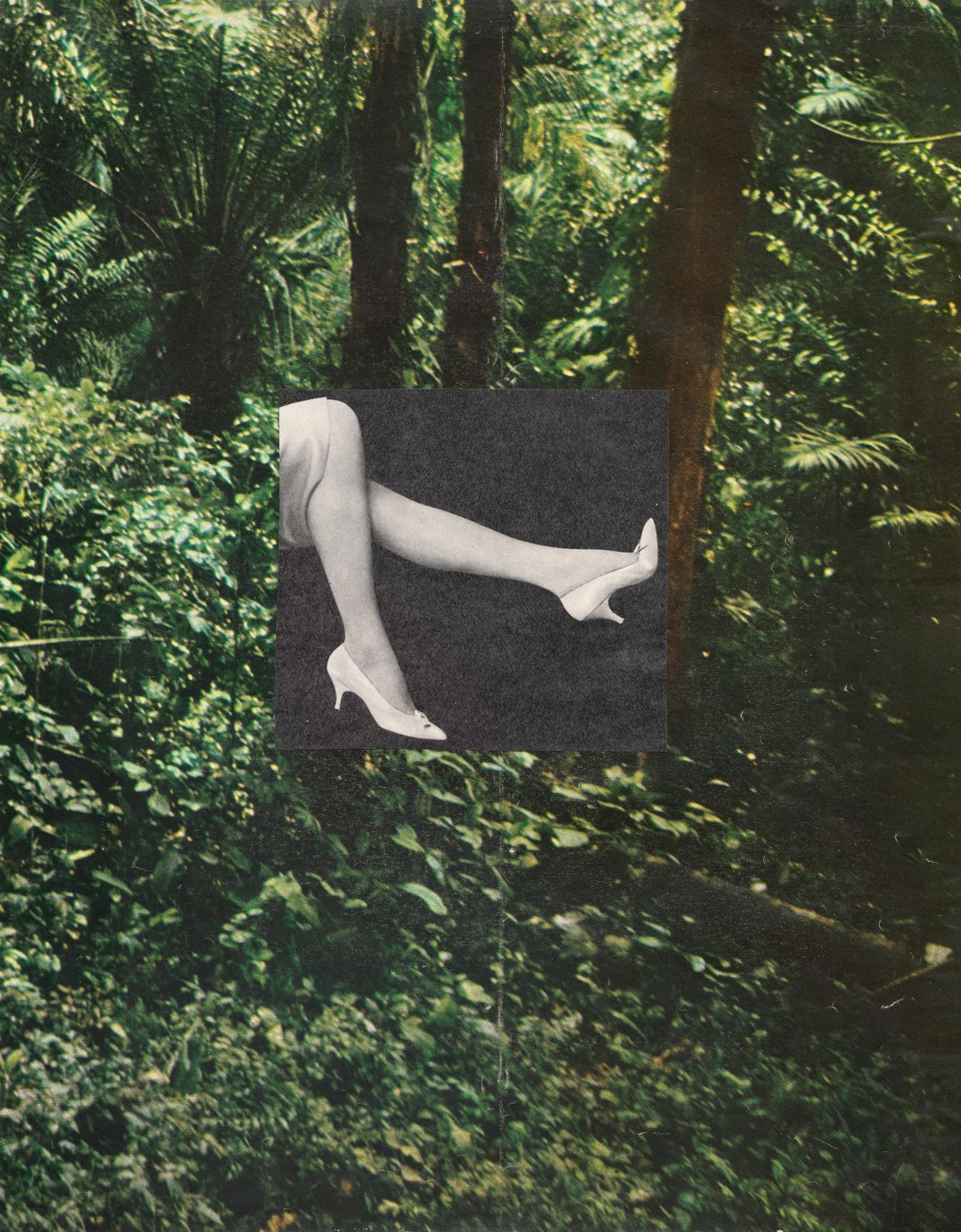 "Sous bois" 25,7x33 cm