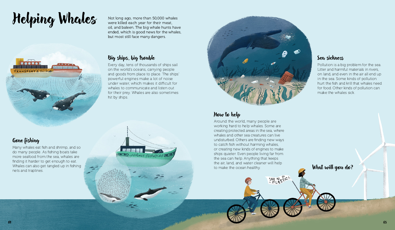 The World Of Whales Gestalten